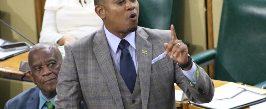 Minister of Agriculture, Fisheries and Mining, Hon. Floyd Green